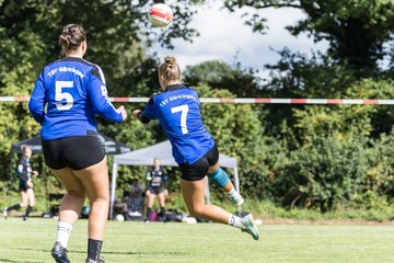 Bild 227 - DM wU18